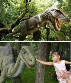 恐龙科普视频,科普视频带你穿越史前奇观