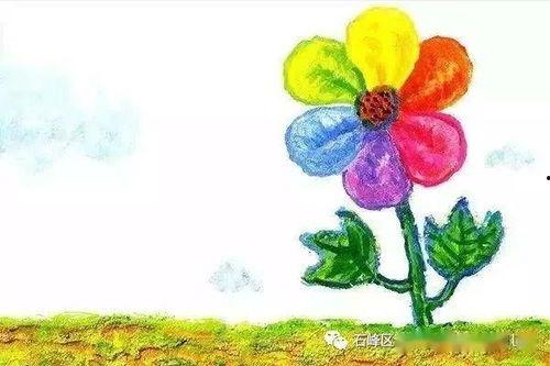 彩虹色的花视频,探寻色彩斑斓的奇幻世界