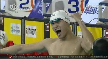 孙杨跳水视频,力与美的完美融合