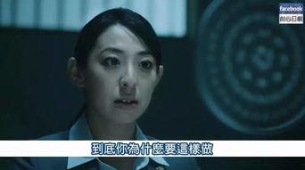 日本啪啪视频播放,流行文化中的私密视角