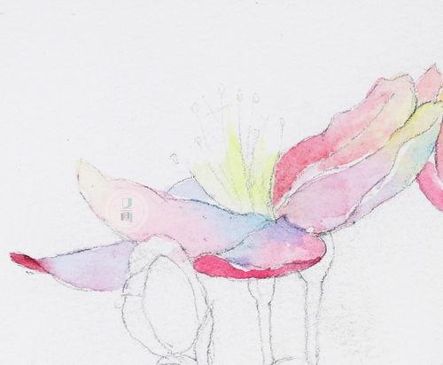 水彩视频,跟随视频探索色彩魅力