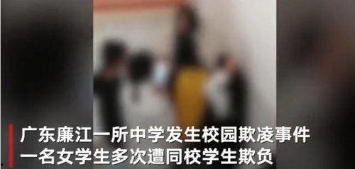 足交视频多,探索网络社交的暗流涌动