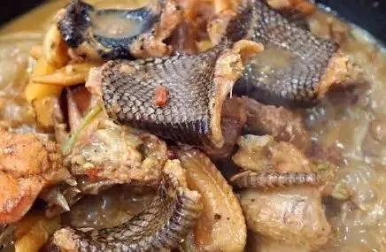 煲鸡蛇视频,探寻古老食材与现代烹饪的完美融合
