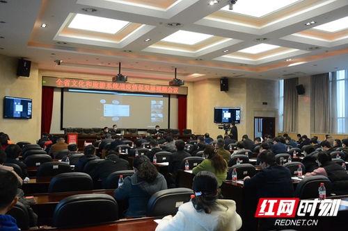 长沙视频会议,云端汇聚，共话未来合作新篇章