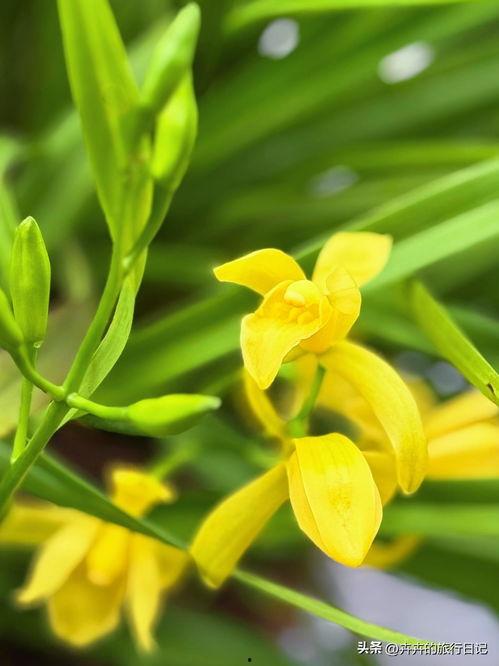 青草草在线热视频精品,精品内容汇聚，畅享视听盛宴