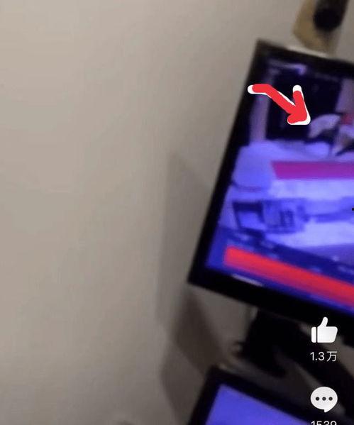 带套视频,带套视频背后的故事与启示